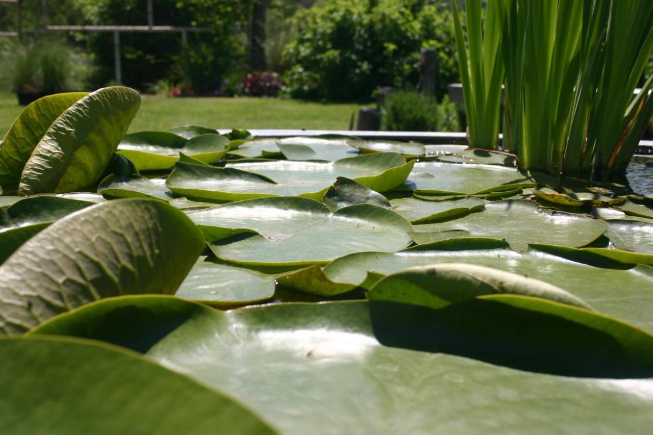 Les Jardins Des Soussilanges Panzió Céron Kültér fotó
