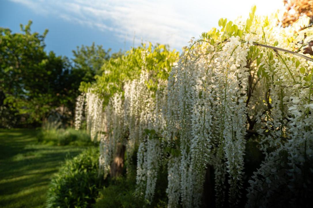 Les Jardins Des Soussilanges Panzió Céron Kültér fotó