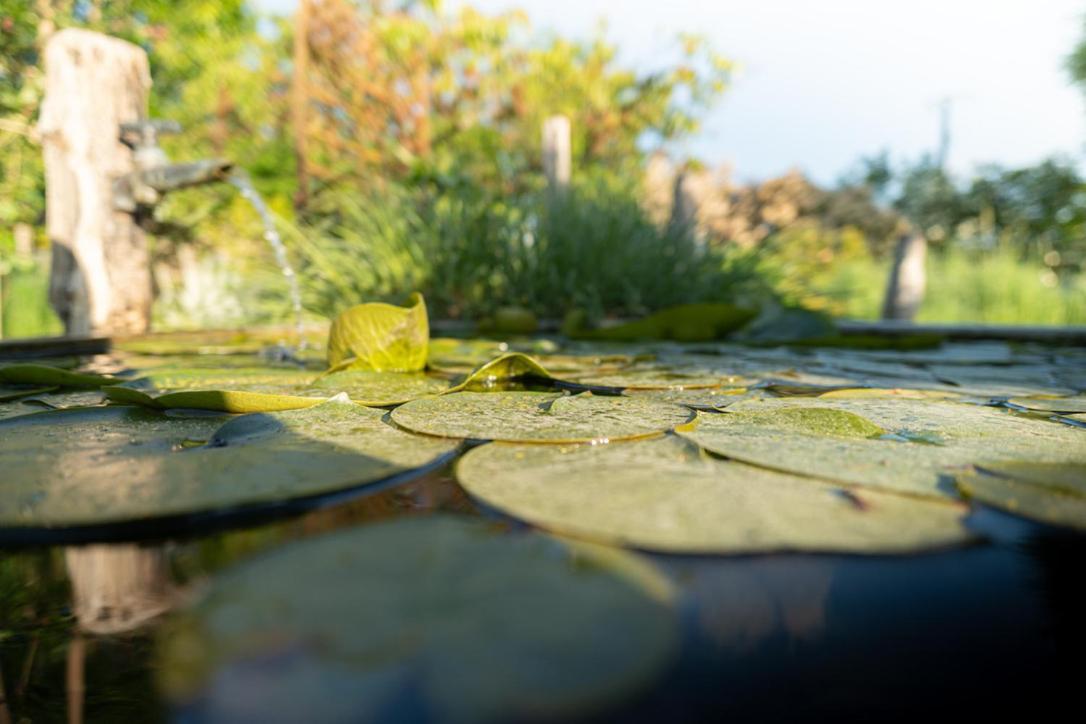 Les Jardins Des Soussilanges Panzió Céron Kültér fotó